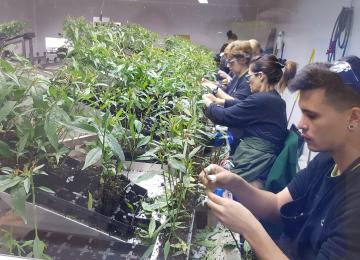 Agro millora 2018