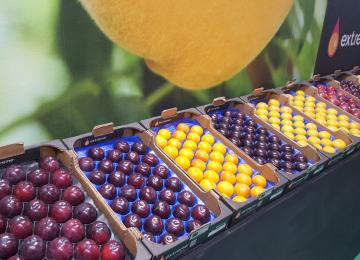 Fruit Attraction 2019